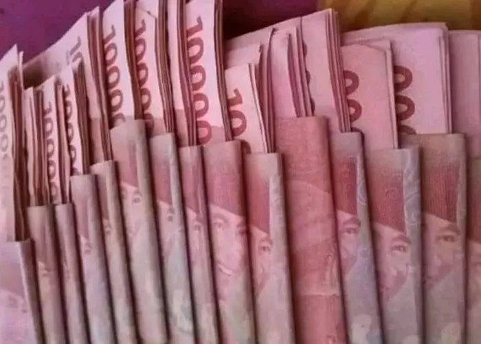 usaha rumahan omset jutaan